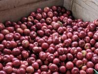 Cold Hollow Cider Mill