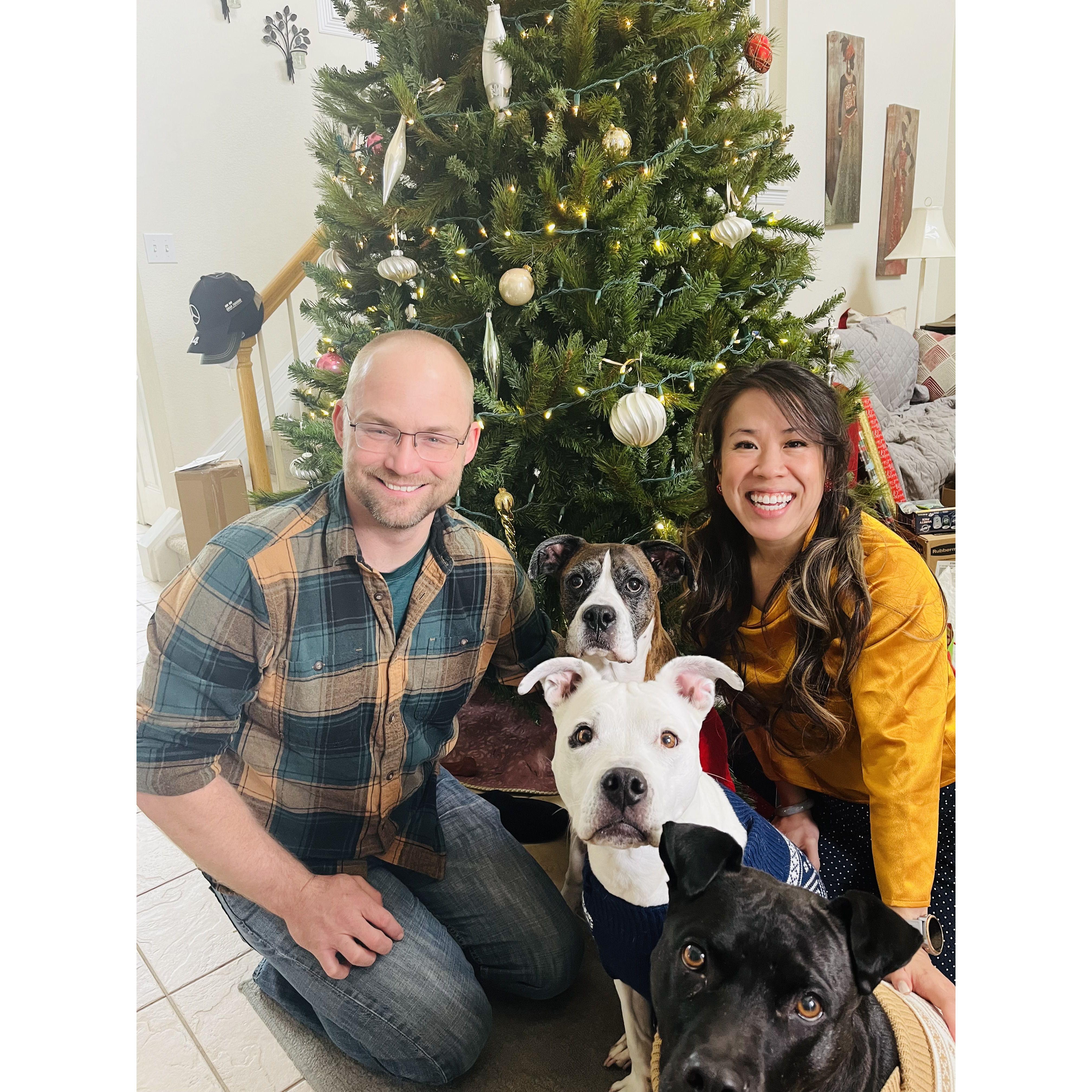 Christmas Family Photo 2022