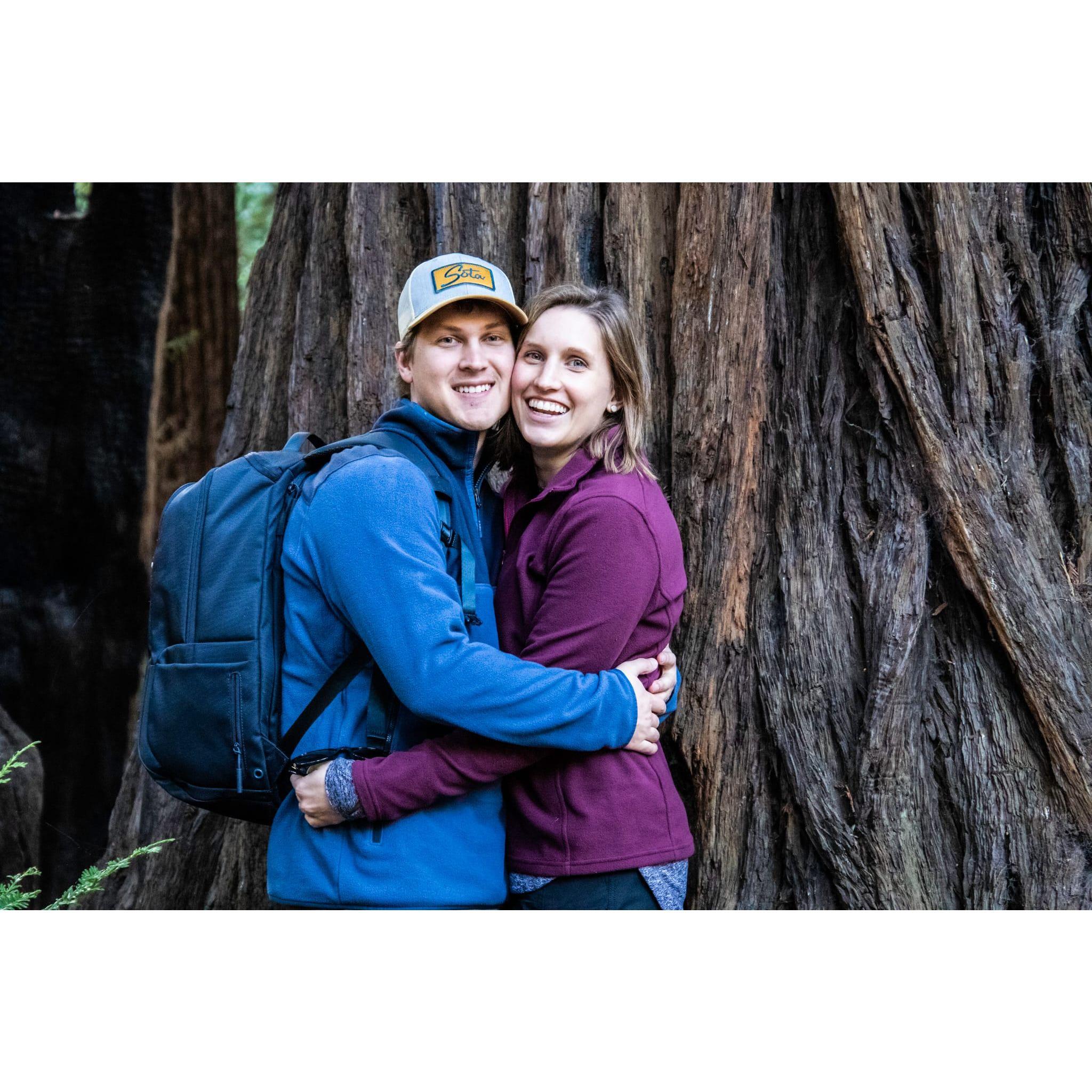 Big Sur State Park 2018