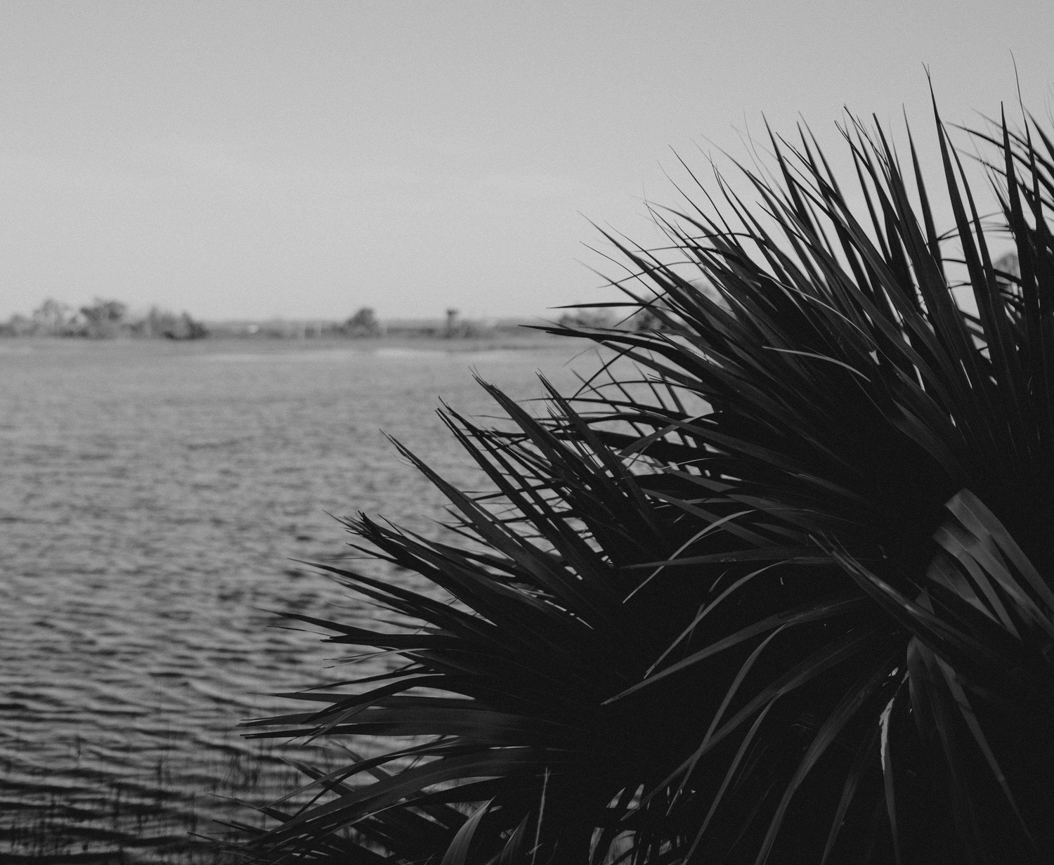 The Wedding Website of Hayley Hamilton and Micah Gomez