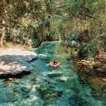 Kelly Park - Rock Springs