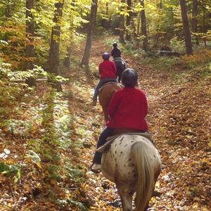 Horseback Riding On Our Honeymoon