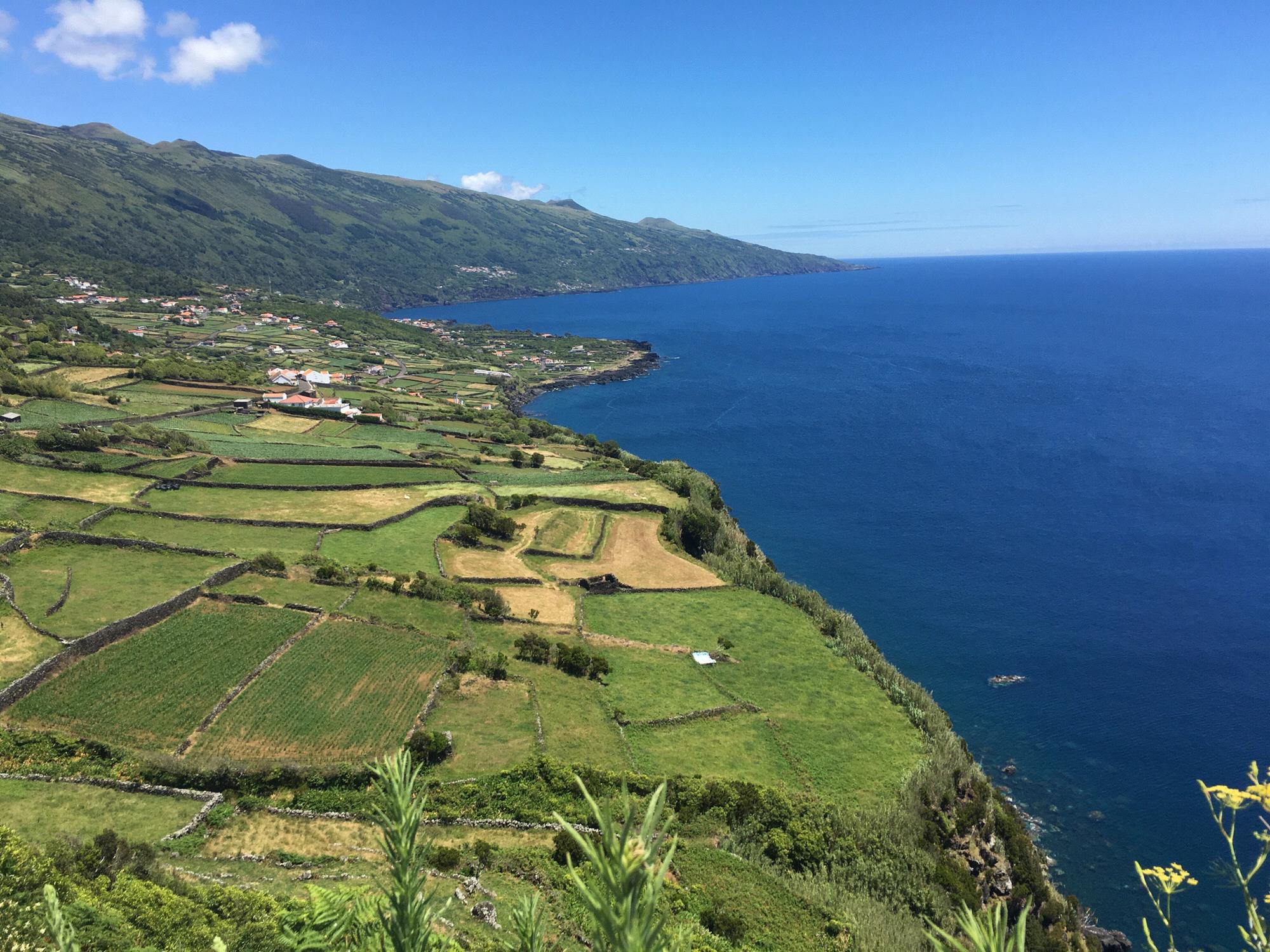 A view of Pico Island
