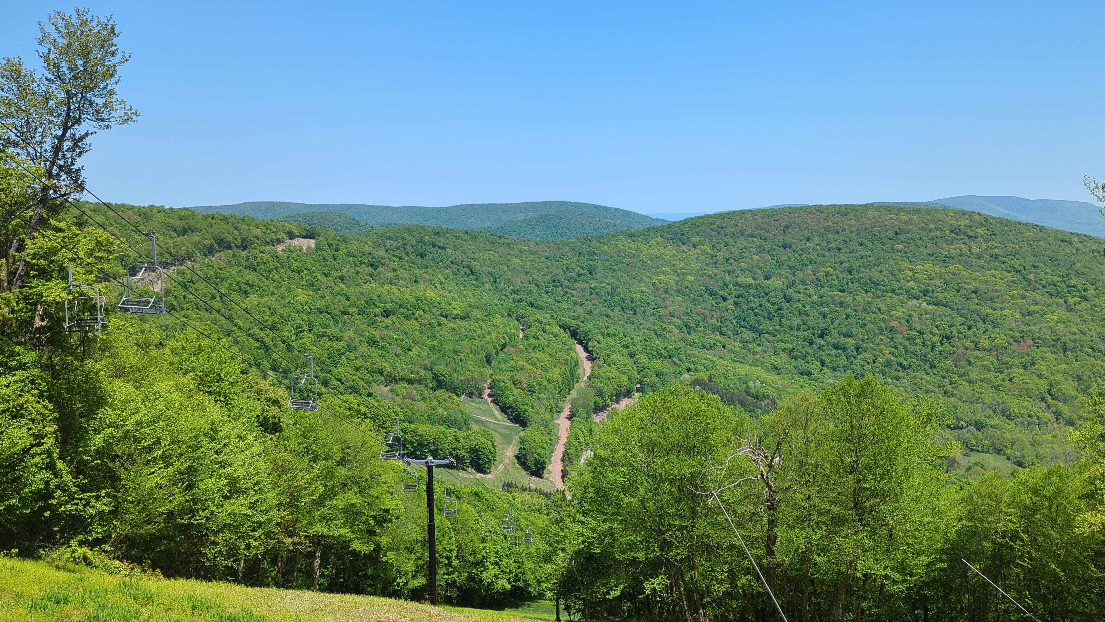 The Wedding Website of Dave Goldstein and Victoria Grasso