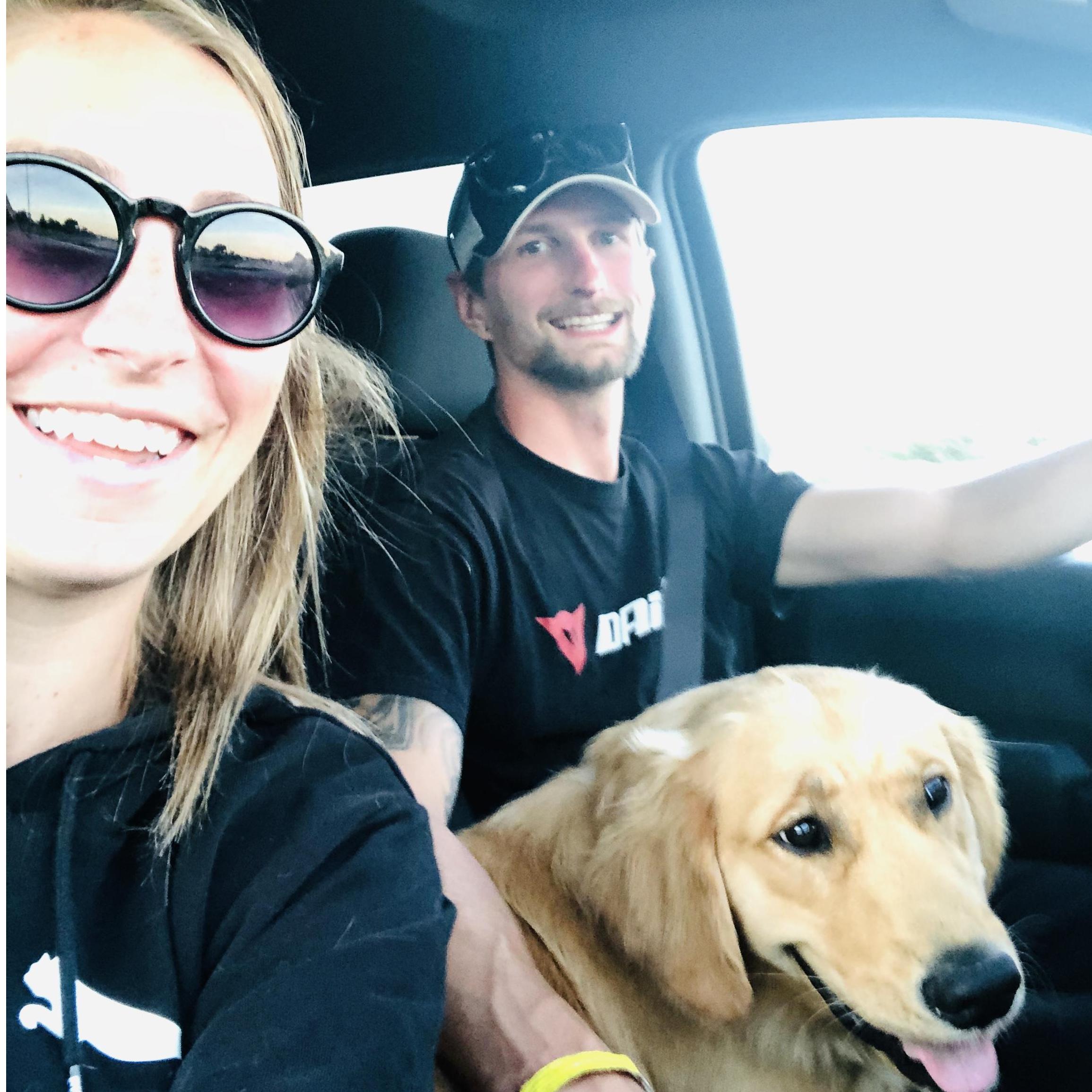 Tuck's preferred spot on road trips is in the front & in the middle!