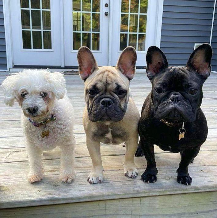 Oates has arrived! All the kiddos together and getting along for once!