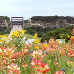 Lady Bird Johnson Wildflower Center