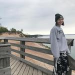 Pierce Stocking Scenic Drive