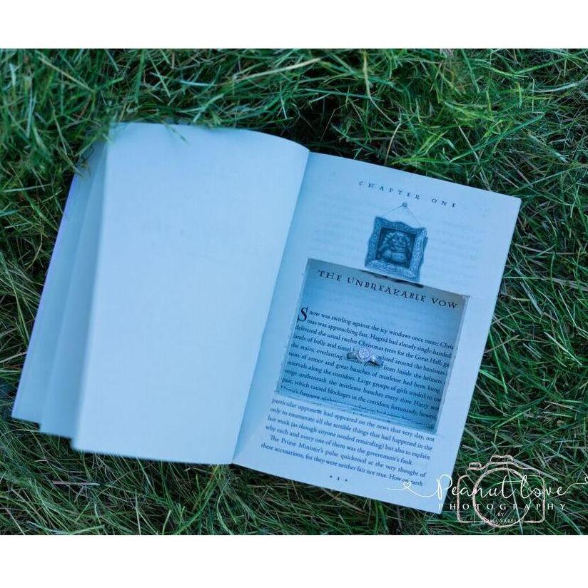 The book that started it all!