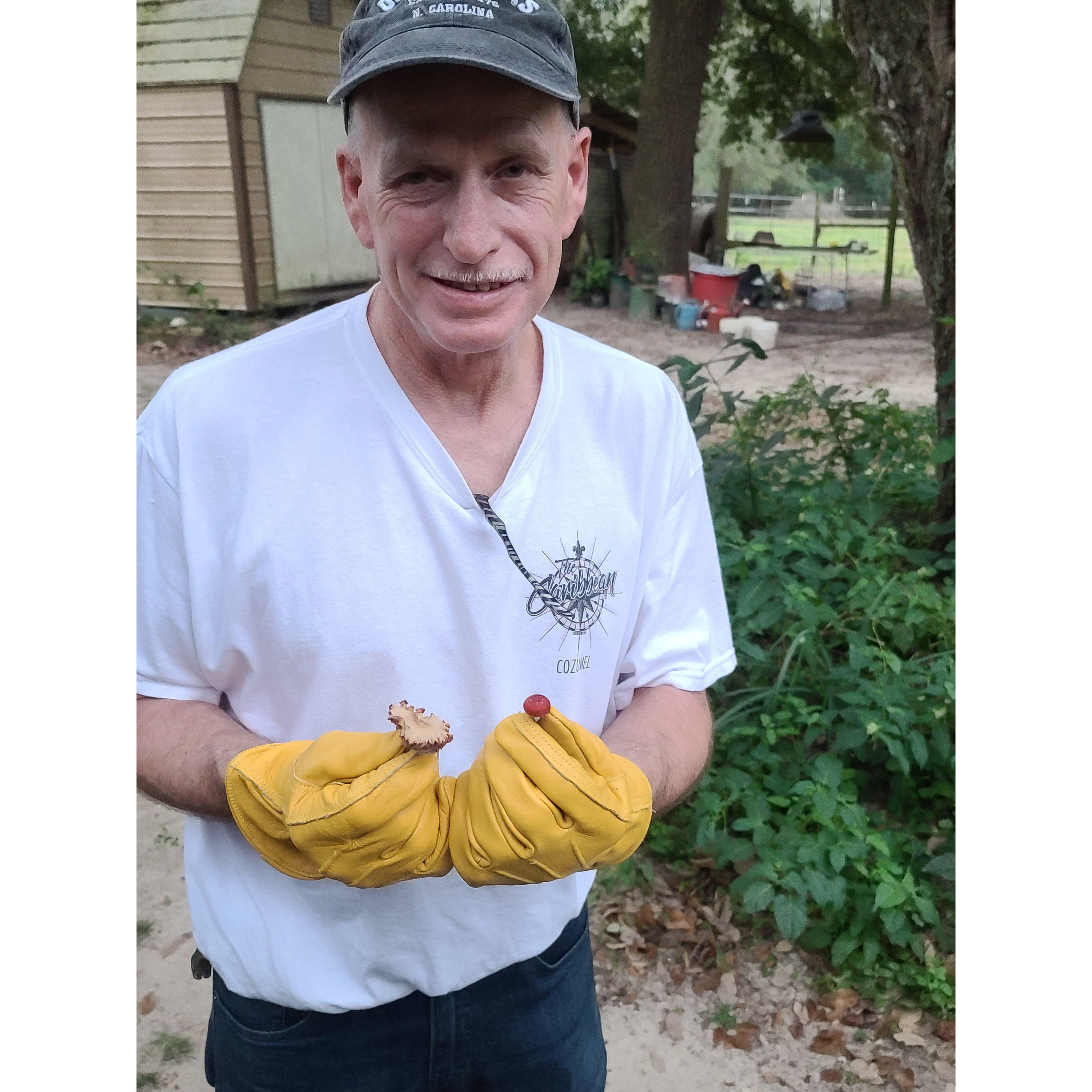Gardening in Texas, December 2021