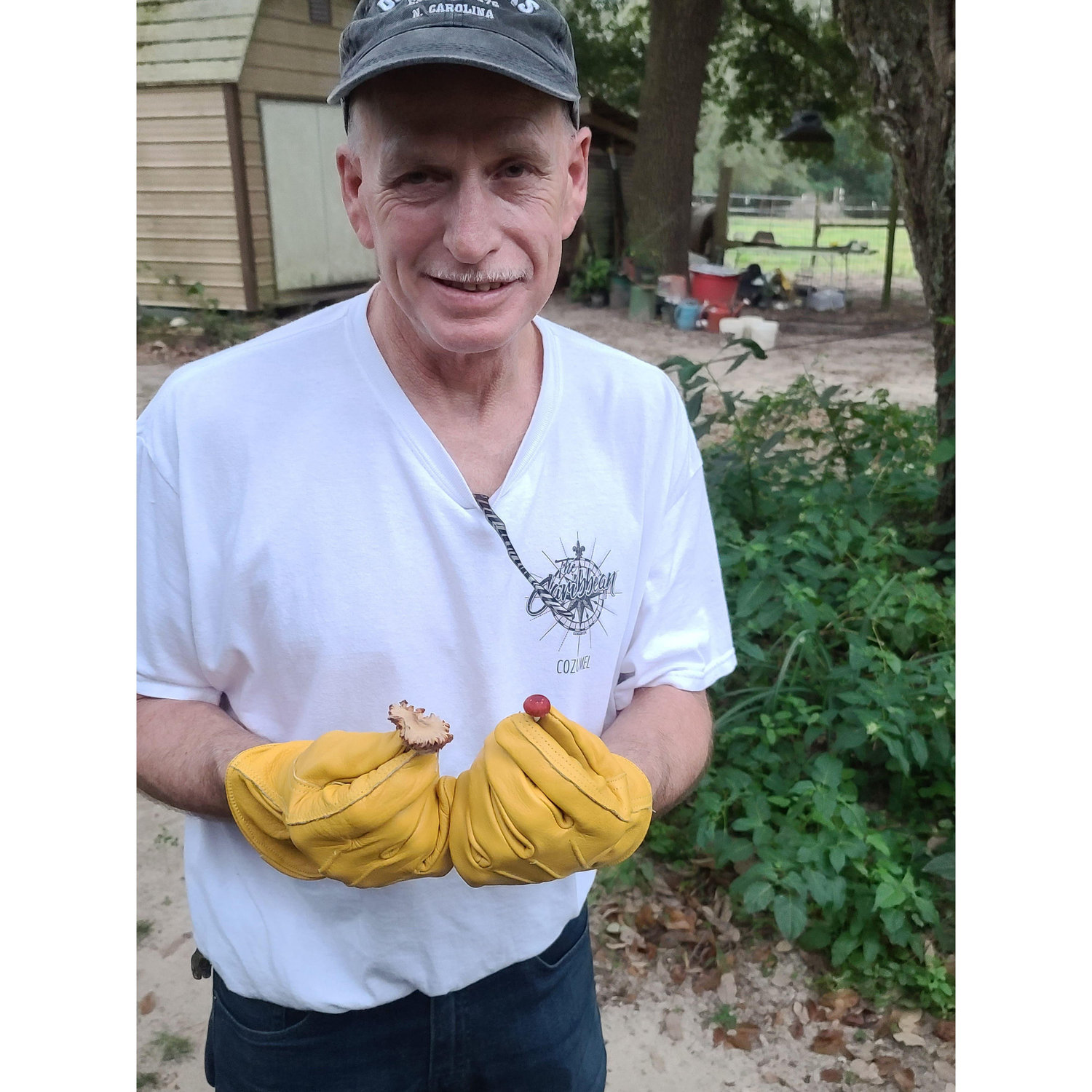 Gardening in Texas, December 2021