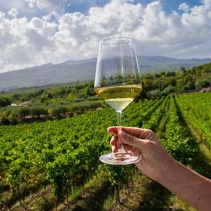 Honeymoon Fund - Wine Tasting Around Mt. Etna