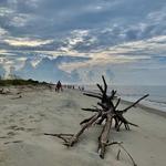 Cap'n Rod's Lowcountry Boat Tours