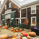 Russells Orchard