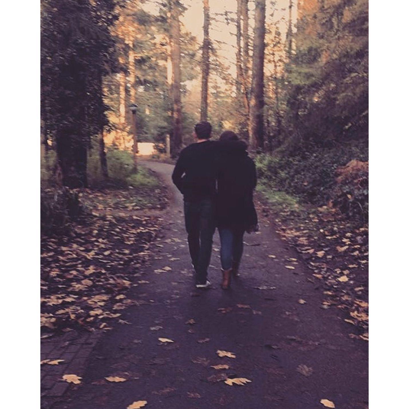 Center Parcs, 2016