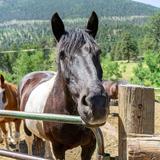 National Park Gateway Stables