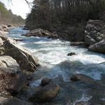 North Chickamauga Creek Conservancy