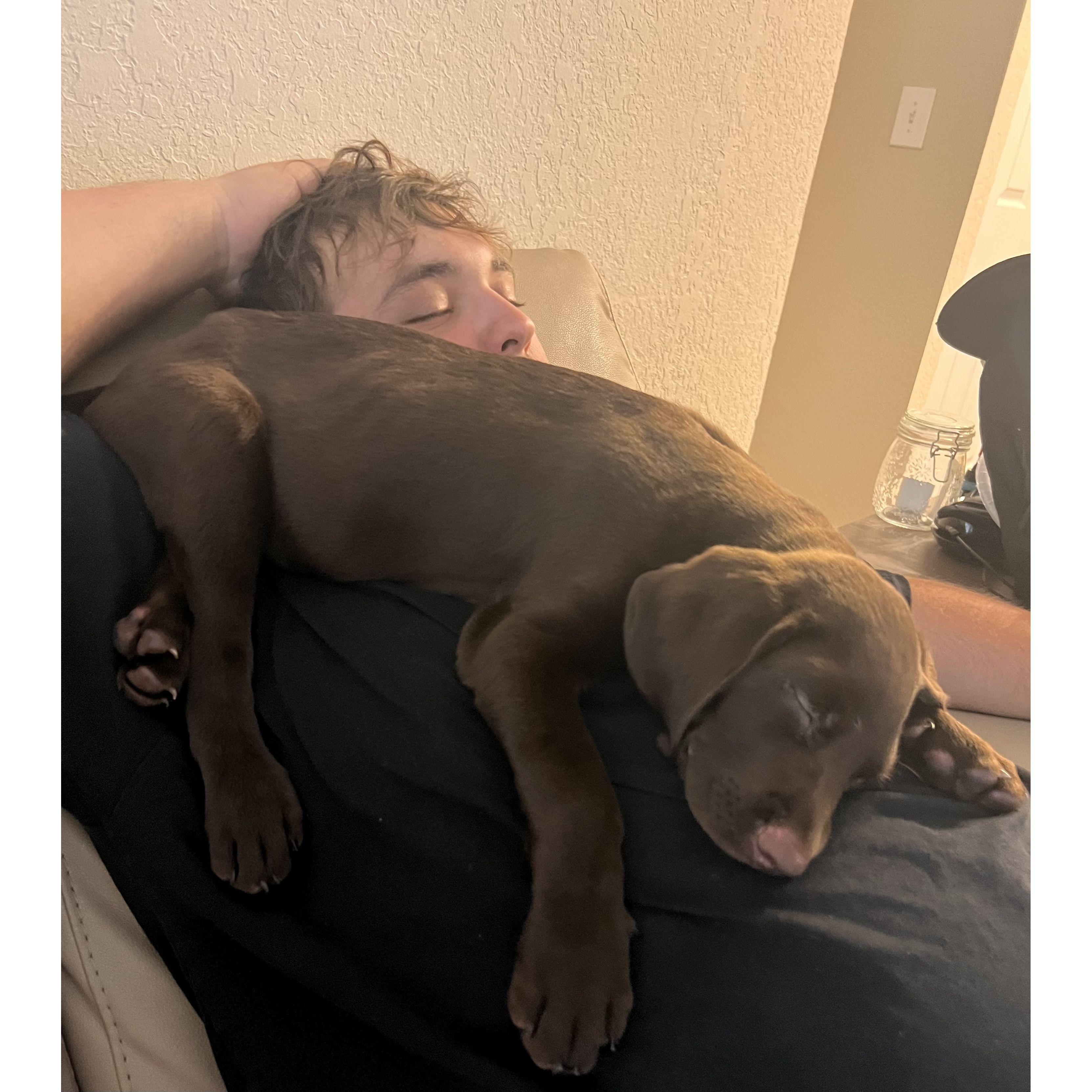 Murphy became our whole life!