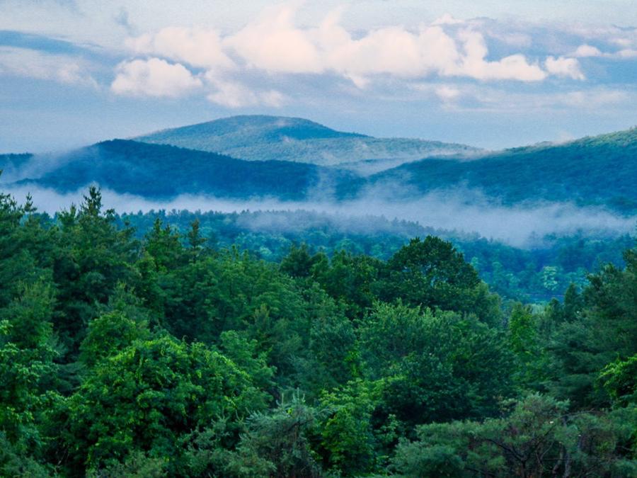 The Wedding Website of Elspeth Bridges and Jimmy Long