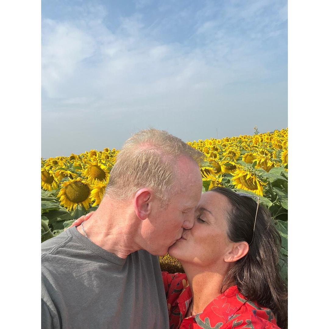 Northern Minnesota, somewhere, Jeff's 60th bday 2023. All sunflowers face the sun. Duh!