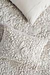 Textured Piazza Shams, Set of 2