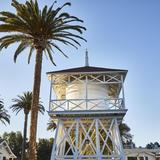 Los Olivos