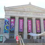 Museum Campus