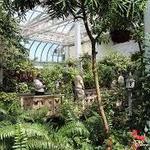 The Key West Butterfly and Nature Conservatory