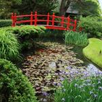 Japanese Gardens & Irish National Stud