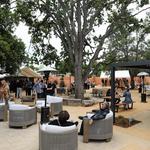 Sentivo Vineyards & Winery