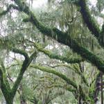 Brooksville Main Street