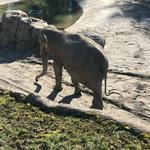 Oregon Zoo