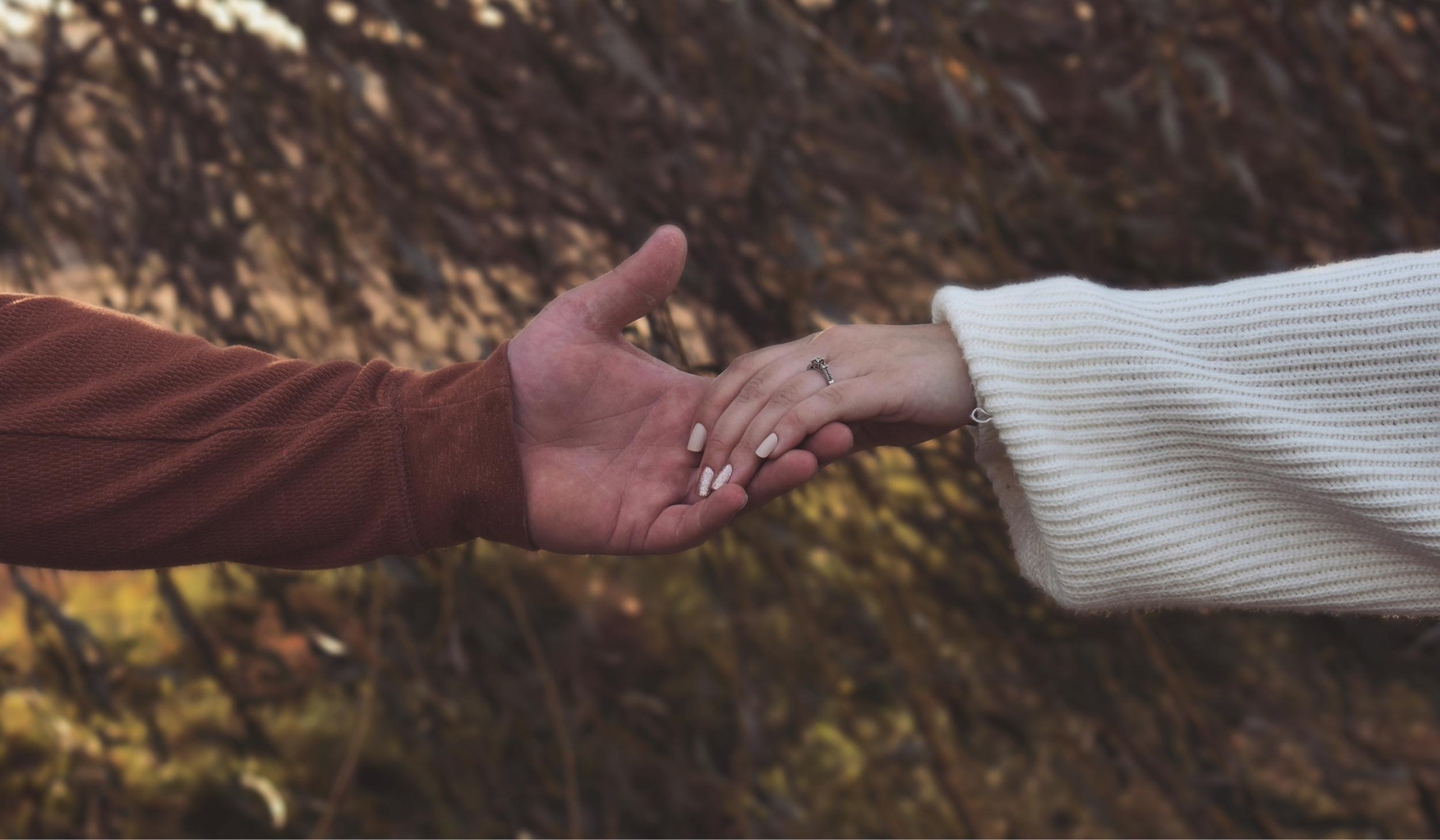 The Wedding Website of Megan Sampson and Zachary Goodwin