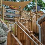 Oyster Club and Treehouse