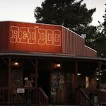 The Red Dog Saloon