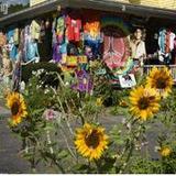 Woodstock Window Shopping