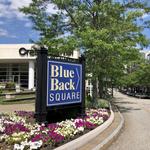 Blue Back Square