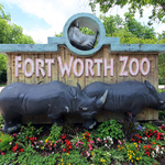 Fort Worth Zoo