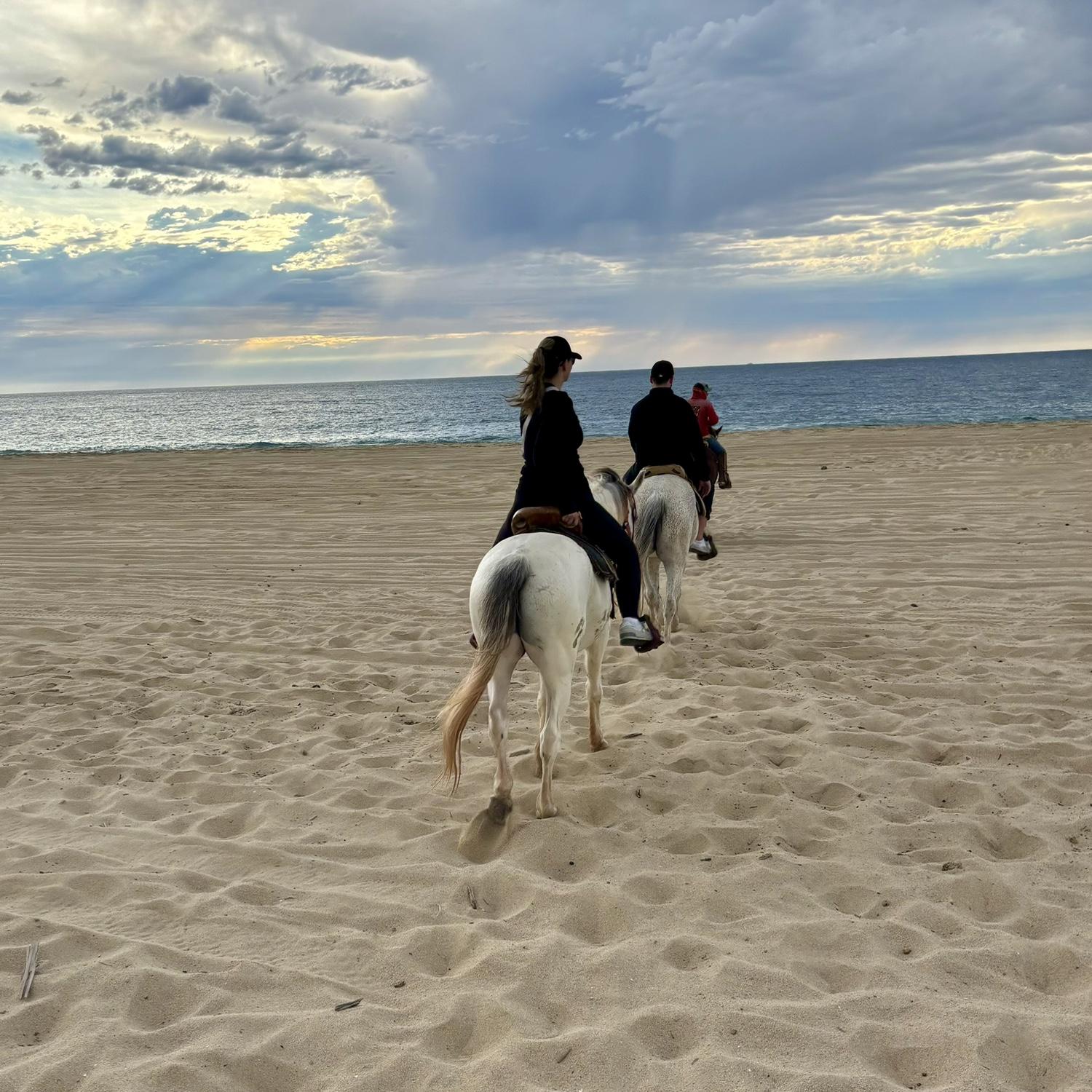 Cabo, January 2024