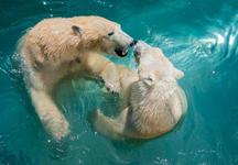 Columbus Zoo and Aquarium