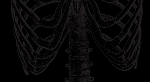 Footer image