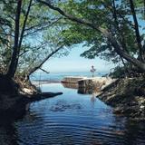 Pilgrim Haven Natural Area