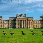 Blenheim Palace