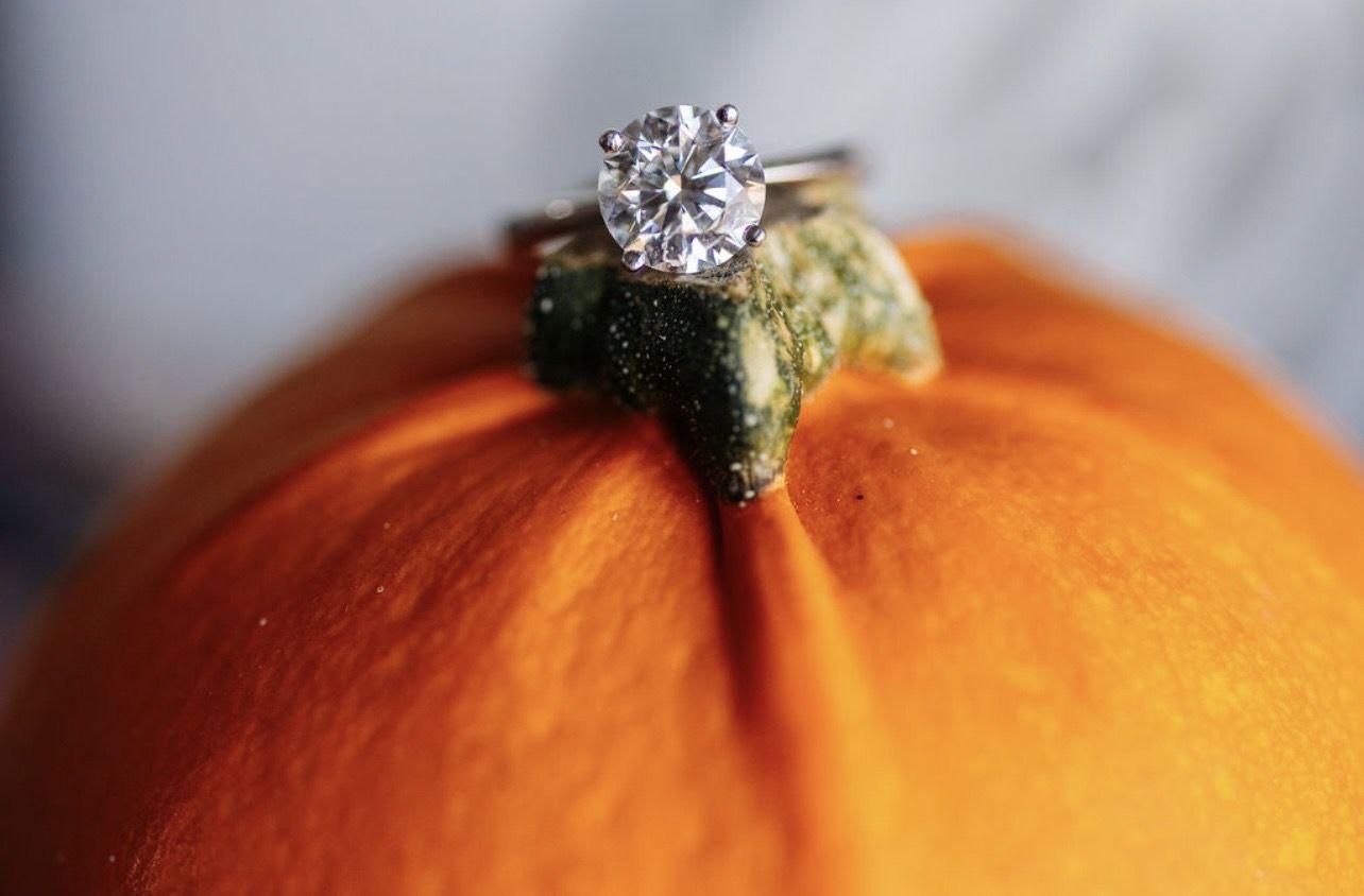 The Wedding Website of Jessica Sheridan and Michael Gagne