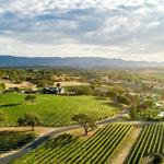 Beckmen Vineyards