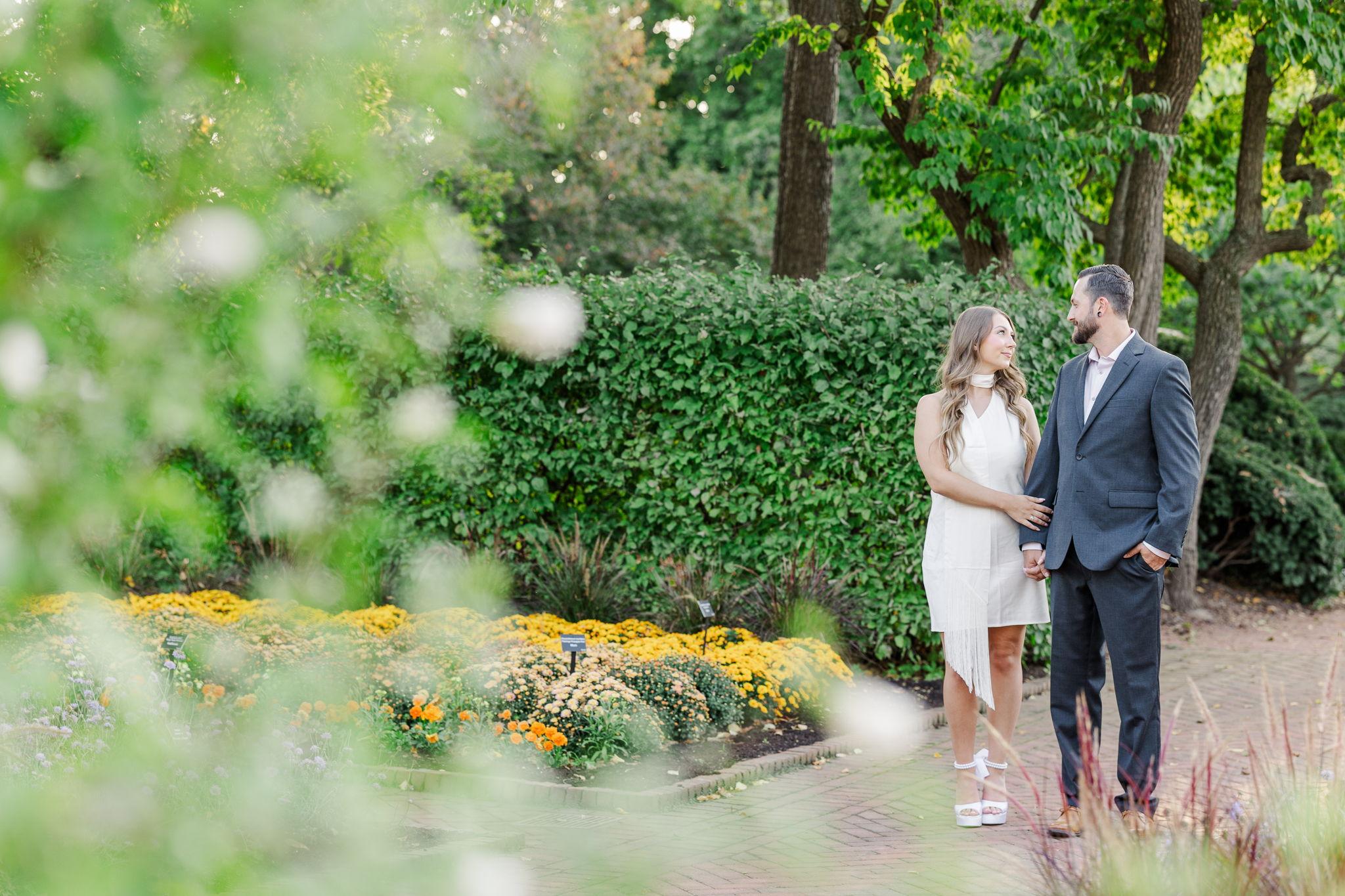 3c6e5ccd-9912-4d11-91cd-e1ce38a0b22e