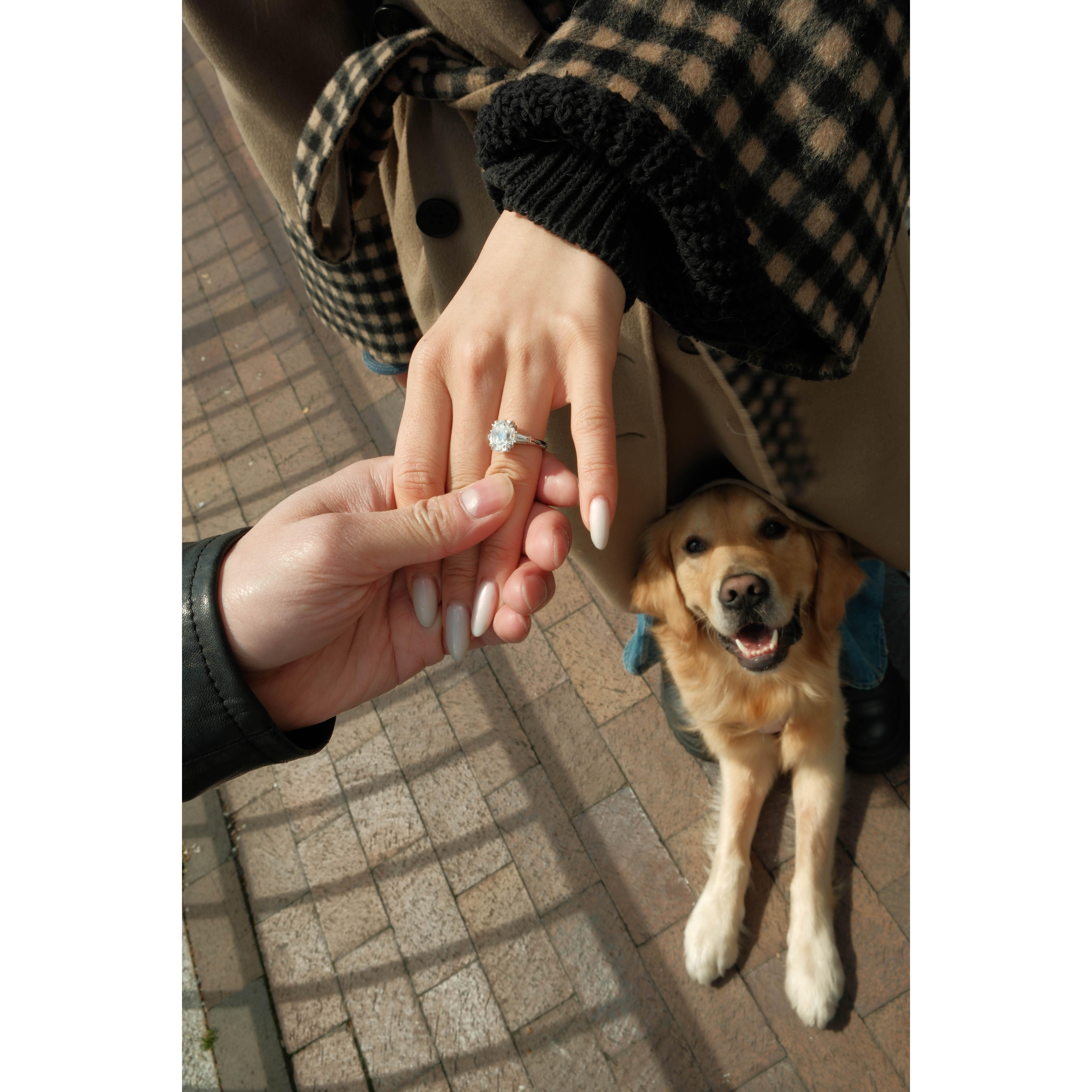 April 2024 - Ivor told Michelle that he wanted to bring Molo to the dog run by the river and then head to brunch afterwards... and Michelle believed him