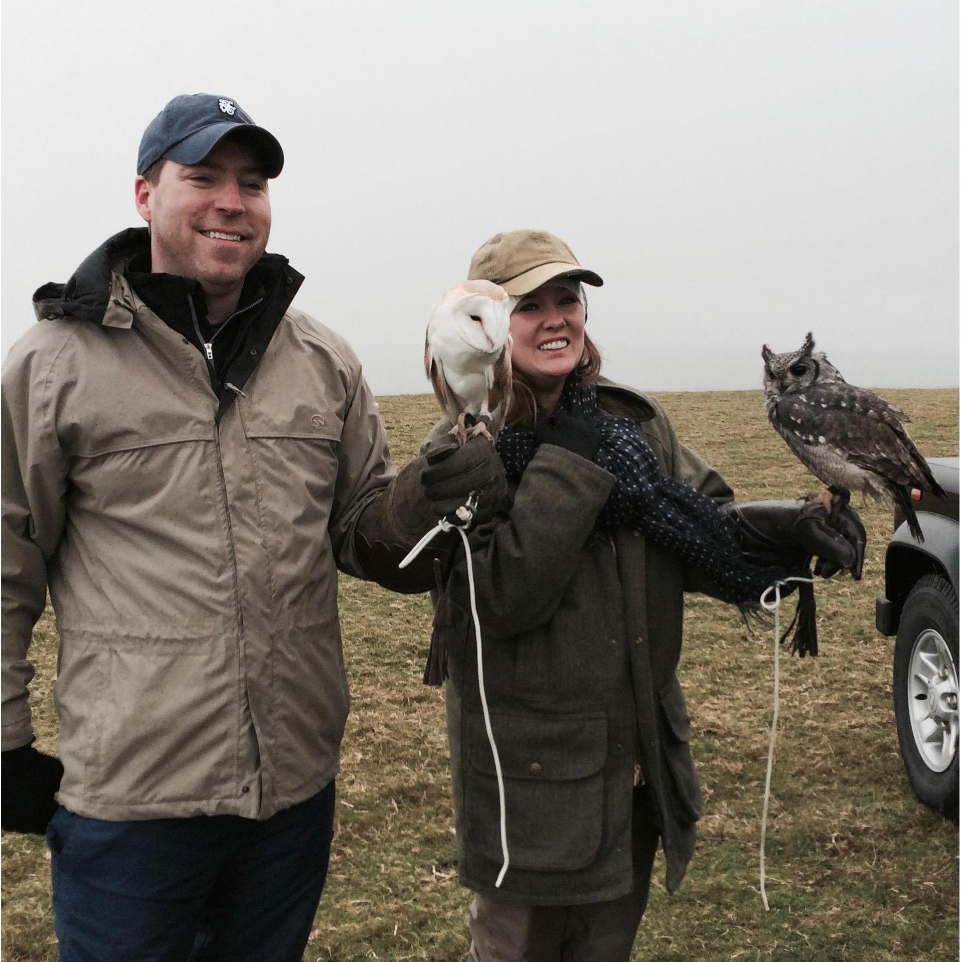Falconry in Ireland