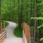 William B. Umstead State Park