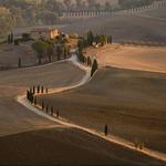 Guided E-Bike & Wine Tour